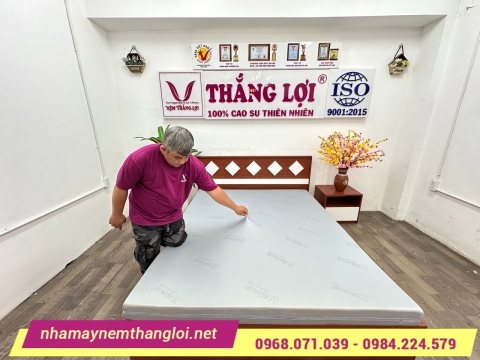 Nệm cao su thiên nhiên Thắng Lợi có tốt không? Đánh giá chi tiết