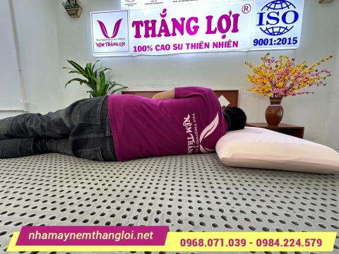 Nệm cao su thiên nhiên Thắng Lợi – Giải pháp chăm sóc cột sống hiệu quả