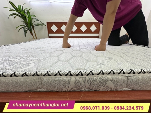 So sánh Nệm Thắng Lợi và các dòng nệm phổ biến hiện nay