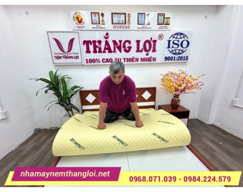 NỆM CAO SU NON