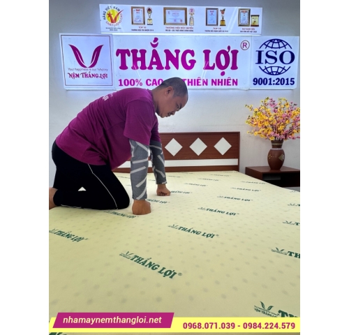 Nệm cao su non Thắng Lợi