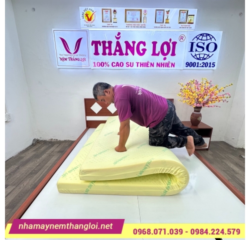 Nệm cao su non cao cấp Thắng Lợi