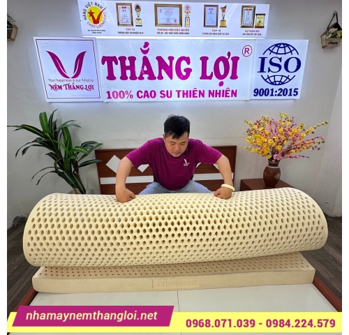 Nệm cao su thiên nhiên Thắng Lợi Titi Double Function
