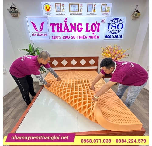 Nệm cao su thiên nhiên Thắng Lợi SuSu Original