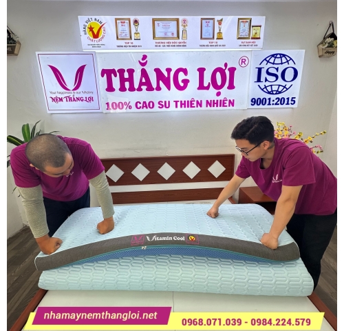 Nệm điều hòa Thắng Lợi Vitamin Cool