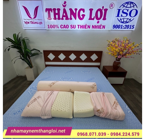 BỘ GỐI CAO SU THIÊN NHIÊN THẮNG LỢI ( 2 NẰM + 1 ÔM )