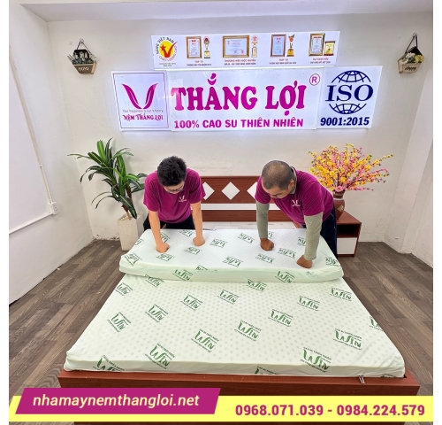 Nệm cao su thiên nhiên Super Win Thắng Lợi