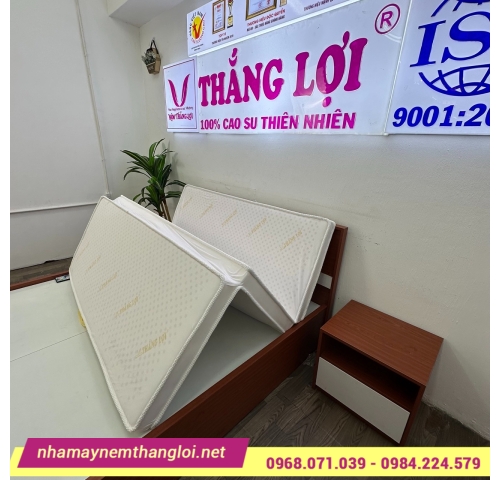 Nệm cao su non cao cấp Thắng Lợi gấp 3