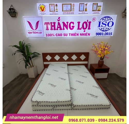 Nệm cao su hoạt tính Thắng Lợi Gấp 3